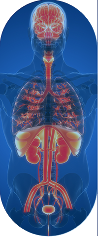 longevity-opacity longevity opacity